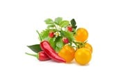 Smart-Home - Click & Grow Click and Grow - Smart Garden Refill 9-pack Fruit and Veggie Mix - PPMFVX9