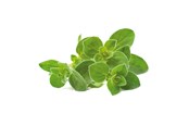 Smart-Home - Click & Grow Click and Grow - Smart Garden Refill 3-pack Oregano - SGR31X3