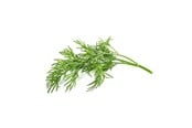 Smart-Home - Click & Grow Click and Grow Smart Garden Refill 3-pack - Dill - SGR49X3